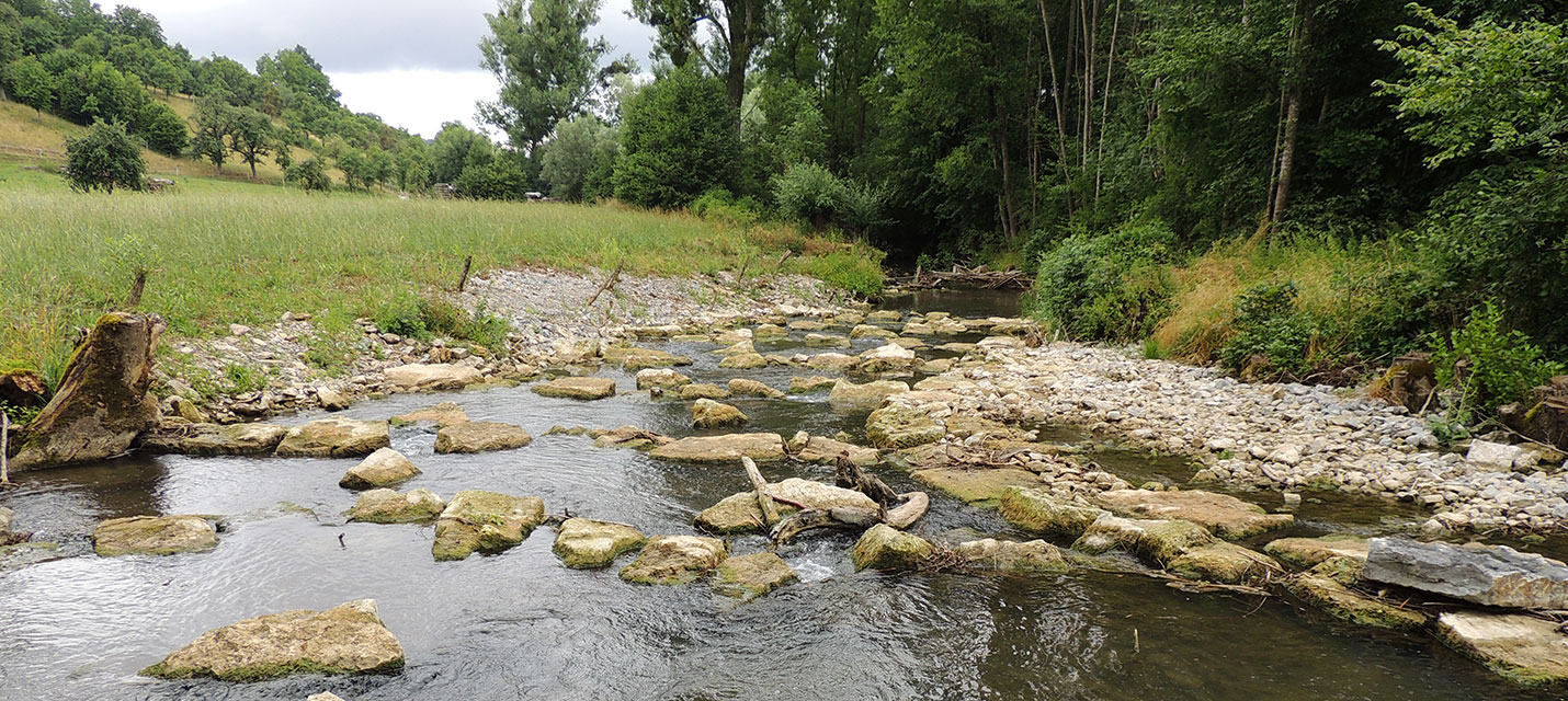 Renaturierungsmaßnahme Flusslauf
